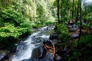 heytheregrace.com | Situ Gunung Suspension Bridge | Sungai di Curug Sawer