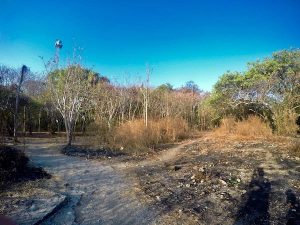 heytheregrace.com | Pulau Panjang at Jepara 1 | Pulau Panjang Jepara 1